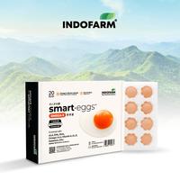 Gambar Telur Omega 3 Organik - INDOFARM Smart Eggs - Smart Eggs-Full Design dari INDOFARM JAKARTA SELATAN Kota Administrasi Jakarta Selatan 1 Tokopedia