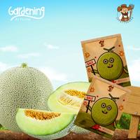 Gambar Geek Farmer - Benih Biji Tanaman Melon Hijau dari Geek Farmer Kota Depok 3 Tokopedia