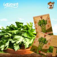 Gambar Geek Farmer - Benih Biji Daun Seledri Hijau dari Geek Farmer Kota Depok 3 Tokopedia
