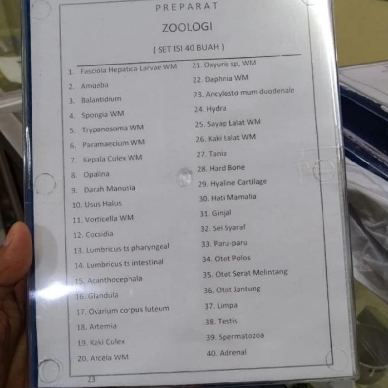 (PROMO) PREPARAT ZOOLOGI SET OF 40