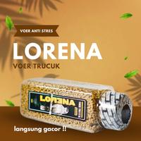 Gambar Makanan Burung LORENA Pur Trucuk Kutilang Jalak Cendet Harian Gacor Ropel Maxima Garuda Bonang dari Seputar Burung Indonesia Kab. Sukoharjo 5 Tokopedia