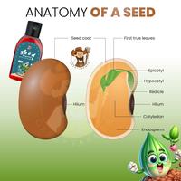 Gambar Geek Farmer - Seed Starter Hormon Booster Kecambah Benih Biji 30ml dari Geek Farmer Kota Depok 4 Tokopedia