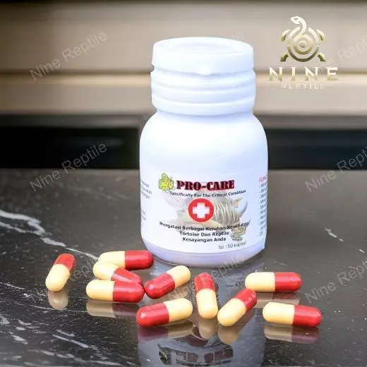 Pro Care Suplemen Kesehatan Kura-Kura & Reptil – 50 Kapsul | Vitamin & Obat Reptil
