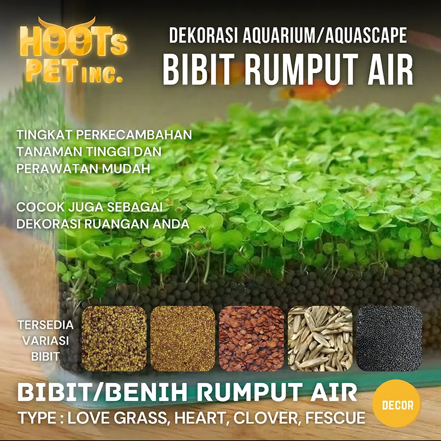 Bibit Seed Carpet Rumput Hidup Benih Aquascape Dekorasi Tanaman Air Hias Aquarium Small Grass Leaf Ornamen Landscape