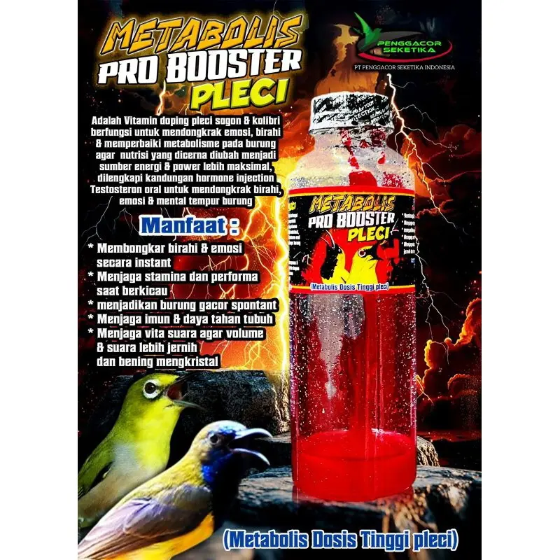PRO BOOSTER PLECI JUARA Metabolis Dosis Tinggi Multivitamin Doping Pleci Sogon dan Kolibri 0