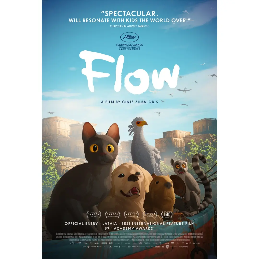 DVD FLOW 2025.....…......
