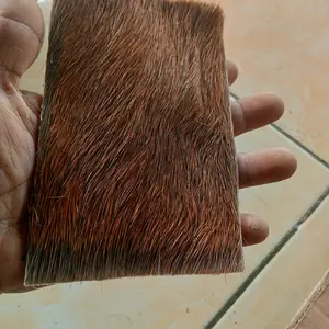 kulit kidang asli bahan raja ukuran 15*10cm