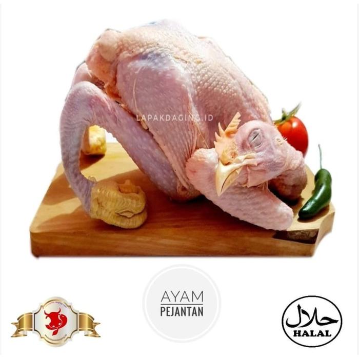 Gambar Ayam Pejantan 0,8 kilogram dari BERKAH JAYA MEAT Kota Administrasi Jakarta Timur Tokopedia
