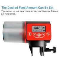 Gambar TaffHOME Makanan Ikan Otomatis Fish Feeder Timer 200ml - CY-039 dari Taffware Official Store Kota Administrasi Jakarta Barat 5 Tokopedia