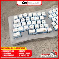 Gambar AXE MECHANICALS - Under The Sea - Cherry - Profile - Keycap - Keycaps - PBT - Dye Sub - Support Split Keyboard dari Rumah-Keyboard Kota Administrasi Jakarta Barat 3 Tokopedia