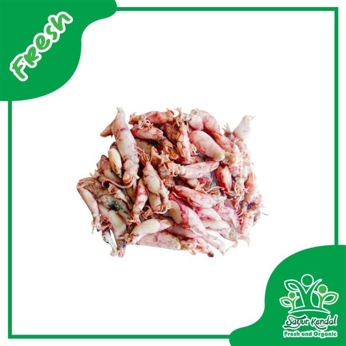 Gambar Cumi Asin Segar - Sayur Kendal - 250gr dari Sayur Kendal Menteng Kota Administrasi Jakarta Pusat Tokopedia