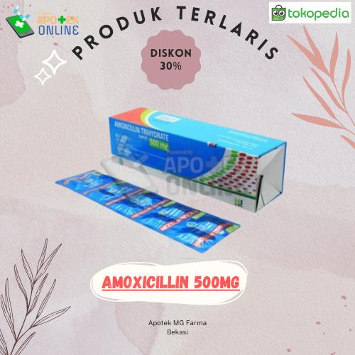 AMOXICILLIN 500 MG STRIP 10 CAPSUL