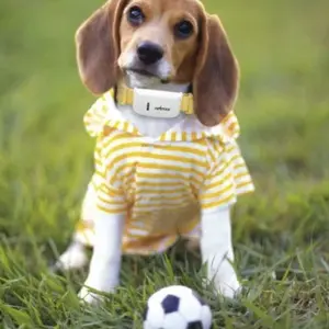 GPS Pet Tracker TK STAR TK-909 High Accuracy Waterproof Long Standby