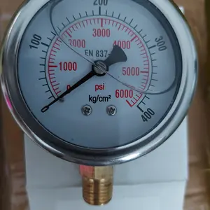 Pressure gauge wiebrock 400 kg bar 6000 psi 2,5 inch stainless raket bottom