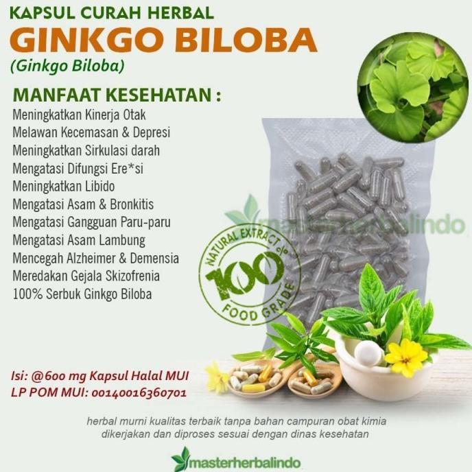 ready stock !!! GINKGO BILOBA 100 Kapsul Curah Herbal Libido Anti Aging Kinerja Otak