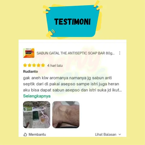 SABUN GATAL THE ANTISEPTIC SOAP BAR 80gr - Sabun Batang