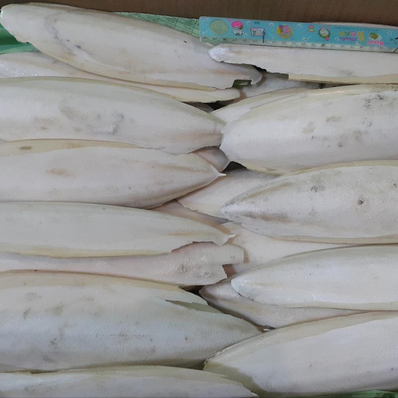 asinan tulang sotong untuk gacorkan dan kalsium untuk burung Lovebird 2