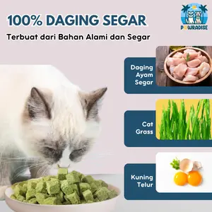 Snack Rumput Kucing Grass Stick Premium Wheatgrass Daging Segar Cemilan Beku Hewan Peliharaan