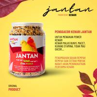 Gambar Makanan Burung PAKAN JANTAN SEHAT Kenari Gacor Ternak Fertilitas Sehat dari Seputar Burung Indonesia Kab. Sukoharjo 2 Tokopedia