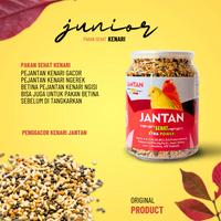 Gambar Makanan Burung PAKAN JANTAN SEHAT Kenari Gacor Ternak Fertilitas Sehat dari Seputar Burung Indonesia Kab. Sukoharjo 3 Tokopedia