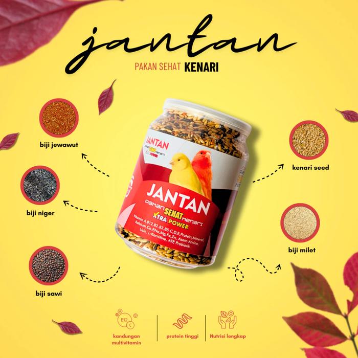 Gambar Makanan Burung PAKAN JANTAN SEHAT Kenari Gacor Ternak Fertilitas Sehat dari Seputar Burung Indonesia Kab. Sukoharjo Tokopedia