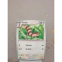 pokémon scarlet and violet--paldea evolved card list Furret Shiny or Non ✨ 6 IV Competitive Customizable Pokémon Scarlet Vi –  Shiny Living Dex main image 0