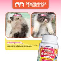 Gambar Vitamin Kucing Ultima Balanced Dewarangga Anti Jamur dan Rontok Kucing - 10 Kapsul dari Dewarangga Cattery Kab. Bogor 2 Tokopedia