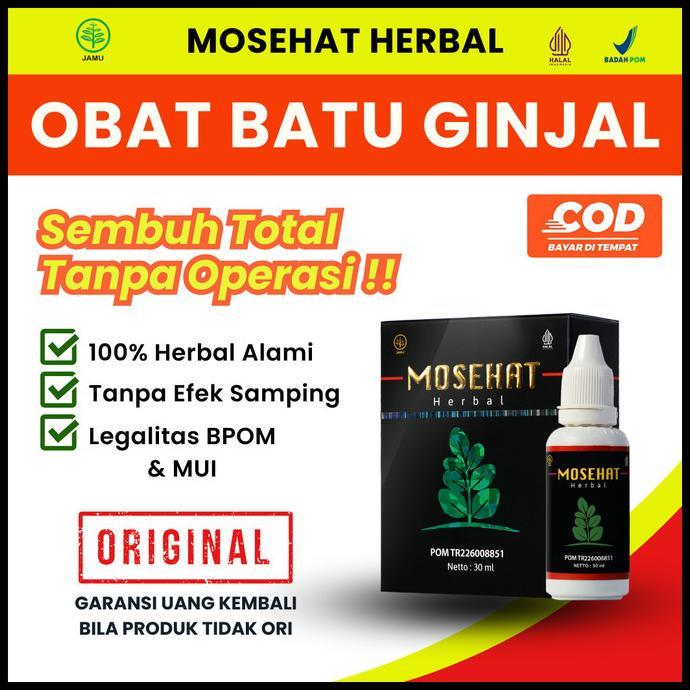 Terbagus Mosehat Herbal Obat Batu Ginjal Paling Ampuh Tanpa Operasi Original