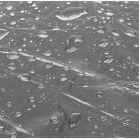 Gambar DRACCO sarung sepeda PINARELLO cover roadbike transparan tebal waterproof anti debu free tas simpan dari Dracco Indonesia Kota Administrasi Jakarta Pusat 4 Tokopedia