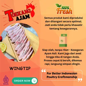 WINGTIP AYAM / SAYAM AYAM UJUNG