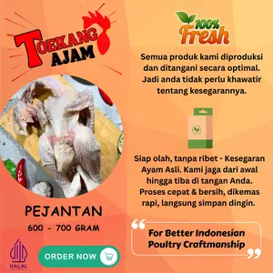 AYAM EKORAN PKK / AYAM BROILER / AYAM NEGRI UKURAN 0.5 - 1.4 KG BISA DI POTONG