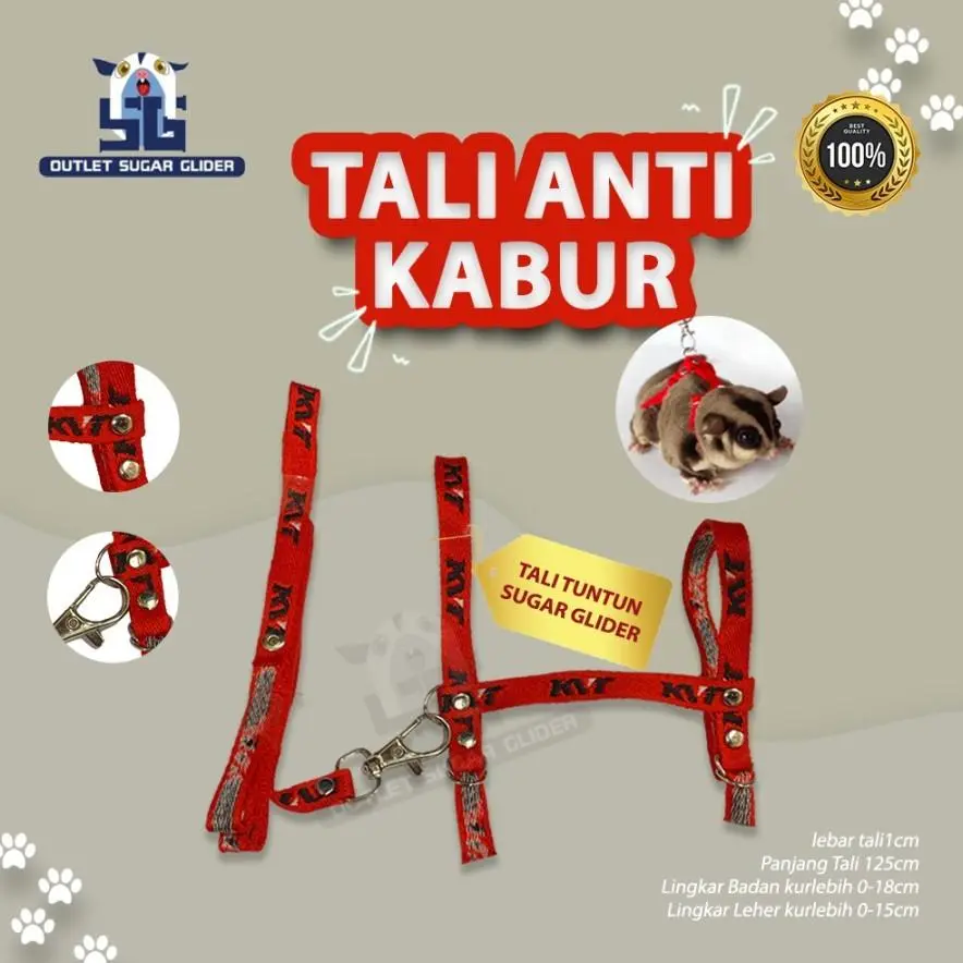 Tali Harnes tuntun sugar glider tupai dan Marmut Guinea pig
