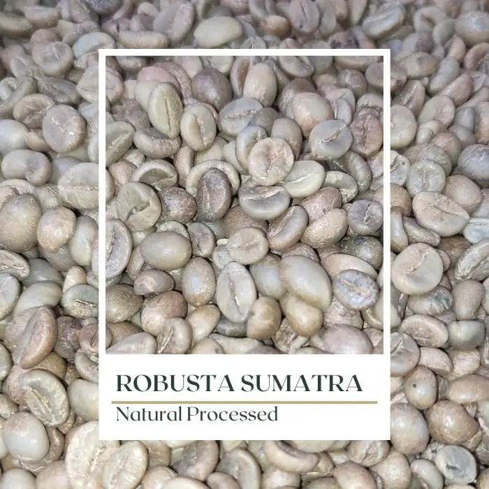 Green Bean Robusta Aceh - Grade 1 - Biji Kecil - Natural Processed - 1 kg 1