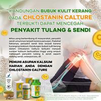 Gambar CHLOSTANIN CALTURE 120 tablet Kesehatan Tulang Keluarga dari Jual Chlostanin Kota Administrasi Jakarta Barat 3 Tokopedia