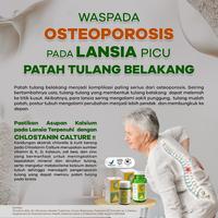 Gambar CHLOSTANIN CALTURE 120 tablet Kesehatan Tulang Keluarga dari Jual Chlostanin Kota Administrasi Jakarta Barat 4 Tokopedia