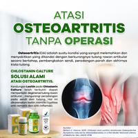 Gambar CHLOSTANIN CALTURE 120 tablet Kesehatan Tulang Keluarga dari Jual Chlostanin Kota Administrasi Jakarta Barat 5 Tokopedia