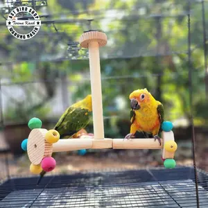 Tangkringan bermain burung small parrot AST 086
