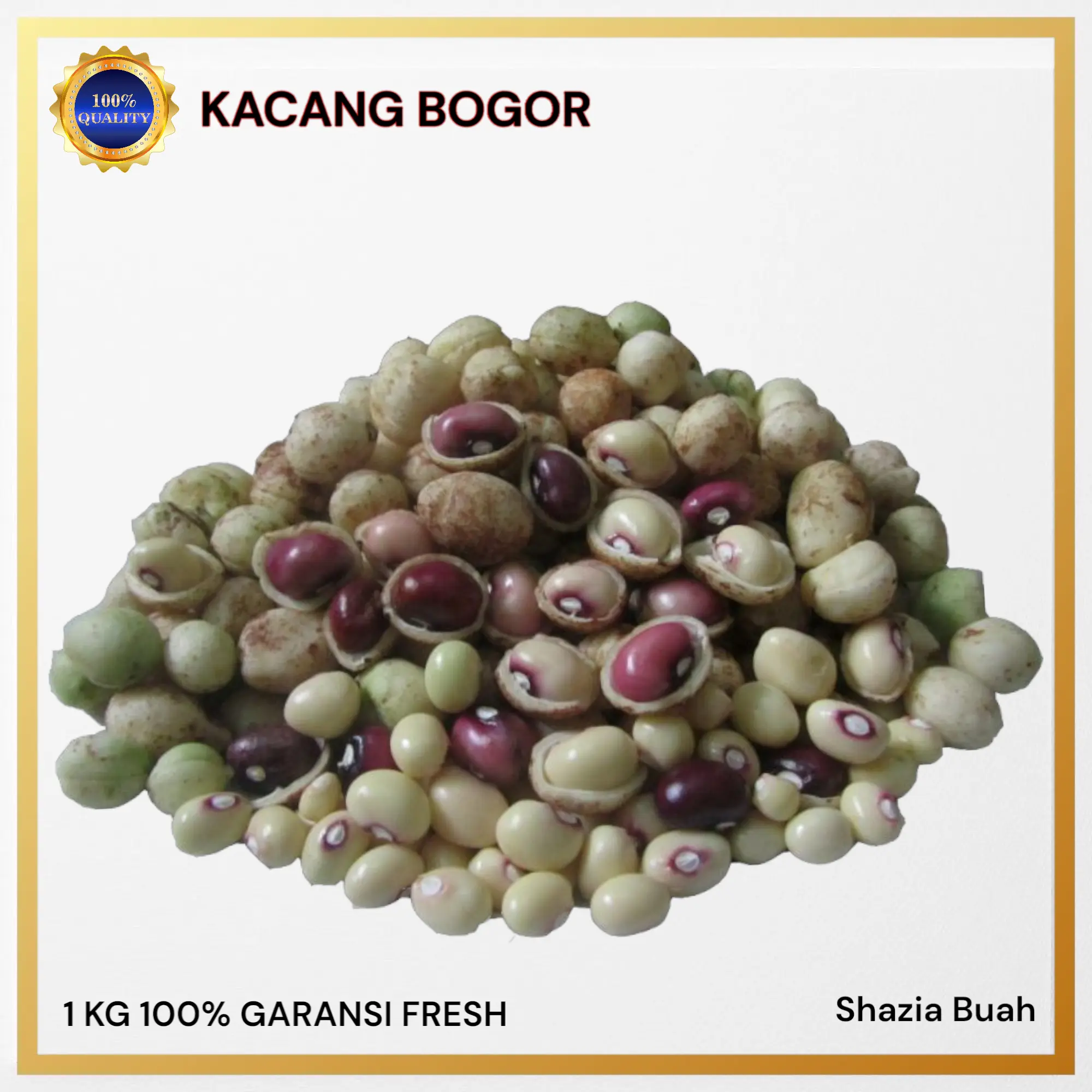 Kacang Bogor Mentah / Kacang Bogor Super / 1Kg