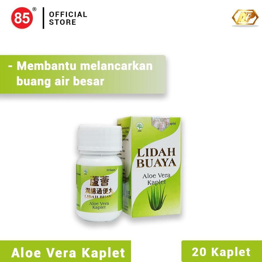 aloe vera obat herbal tablet pelancar bab sembelit lidah buaya
