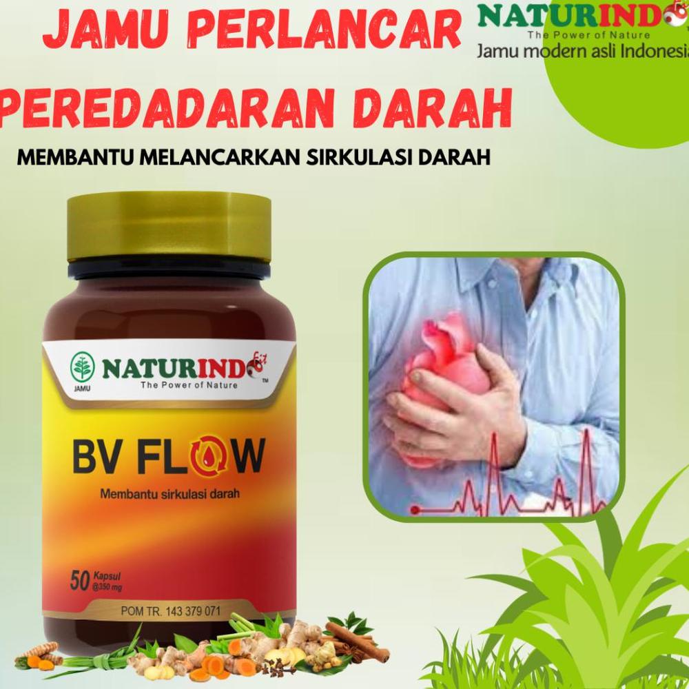 Obat Herbal Pelancar Pembersih Darah Penyumbatan Darah Dan Pelancar Siklus Darah Ampuh Herbal Bv Flow