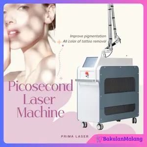Super Picosecond Laser Honeycomb Laser Tattoo Removal Laser Bintik Penghapusan Bekas Jerawat Alat Kecantikan Laser Pencuci Tato Mesin Cuci Alis Non-invasif Pico Laser