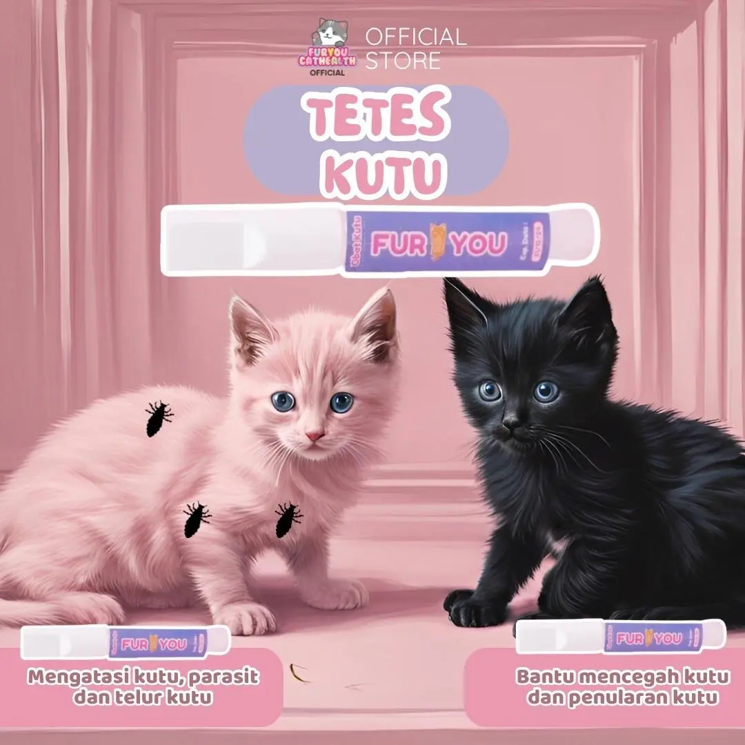 obat kutu kucing ampuh dan aman