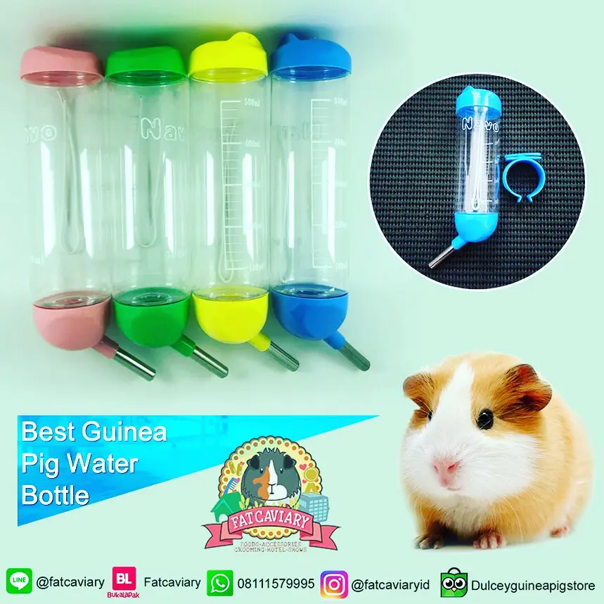 Botol nova 500/ botol minum kelinci marmut / pet bottle