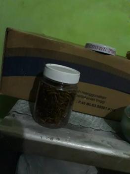 Product Review of Paket hemat 3, Nutrisi Praktis Jangkrik Ulat Jerman & Hongkong Kering from Tokopedia customer review 0