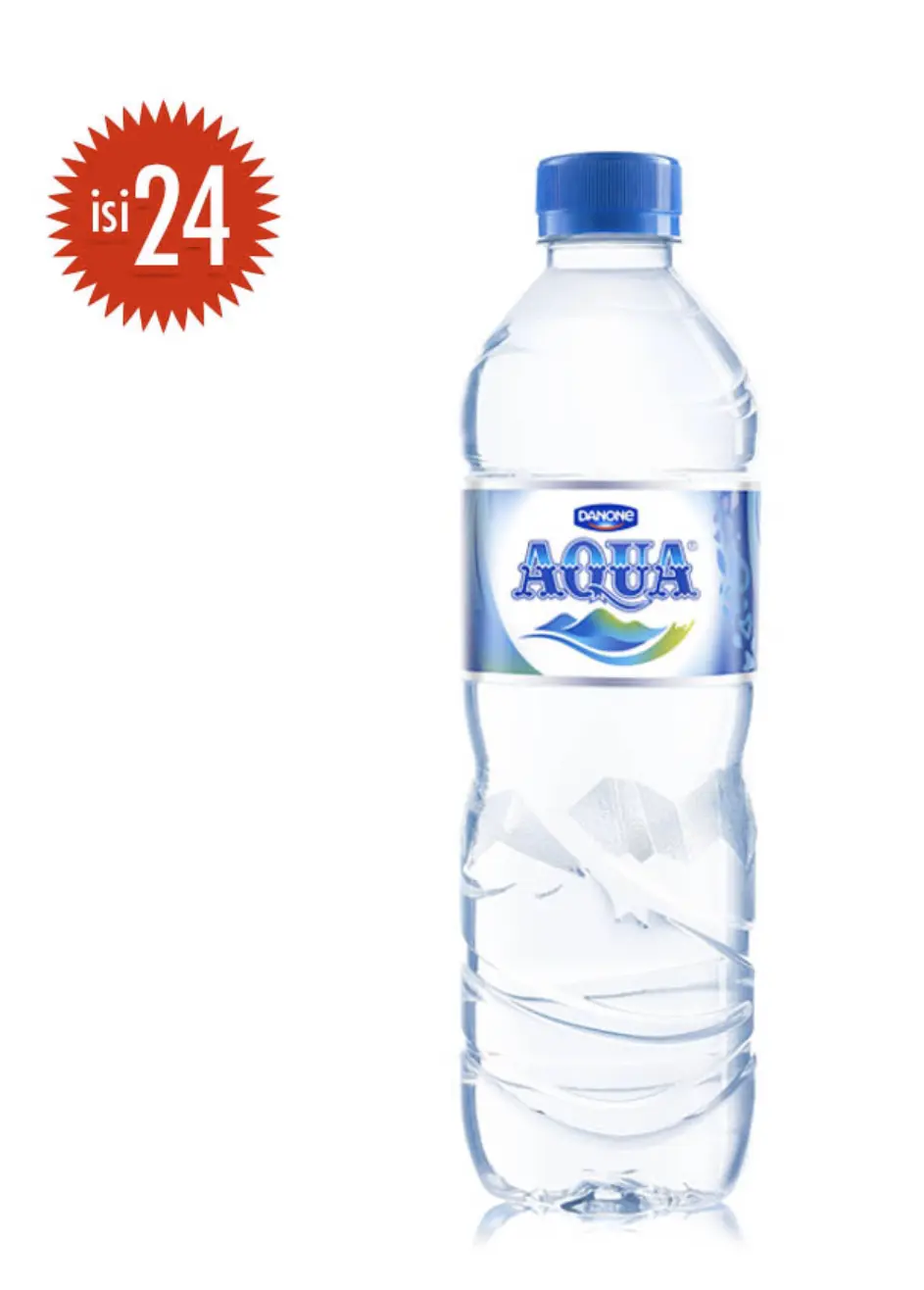 Aqua Botol Carton 600 ml x 24 pc