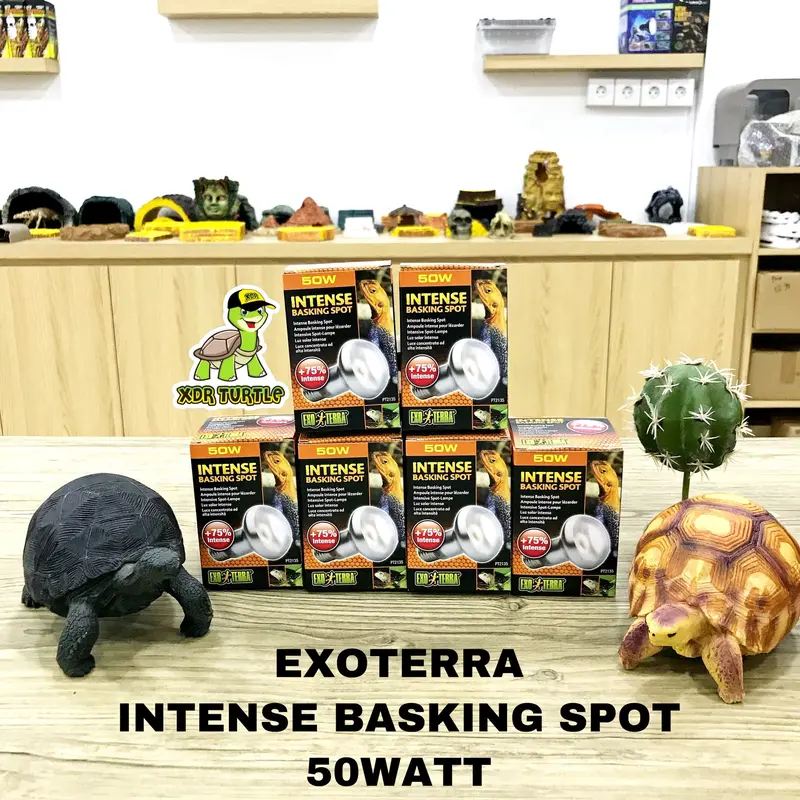 EXOTERRA INTENSE BASKING SPOT 50WATT TORTO REPTIL SULCATA IGUANNA 1