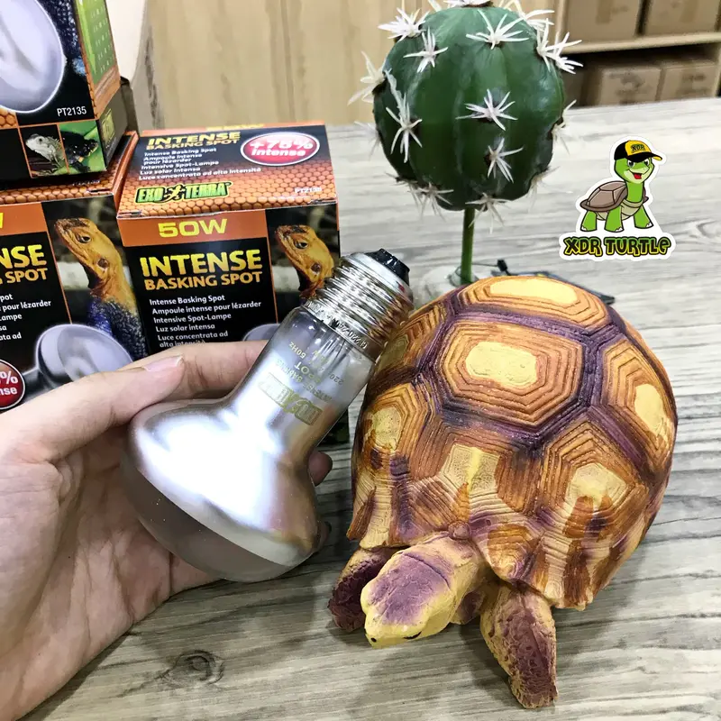 EXOTERRA INTENSE BASKING SPOT 50WATT TORTO REPTIL SULCATA IGUANNA 3
