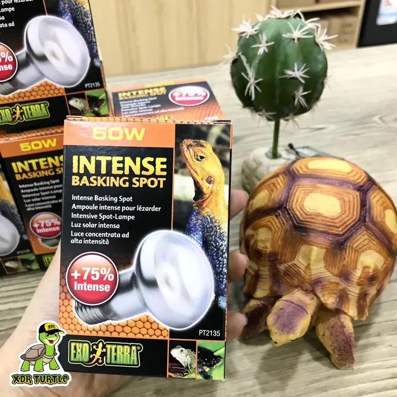 EXOTERRA INTENSE BASKING SPOT 50WATT TORTO REPTIL SULCATA IGUANNA 0