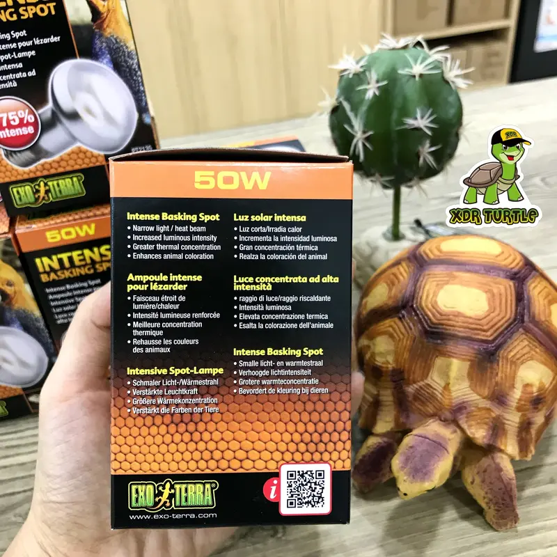 EXOTERRA INTENSE BASKING SPOT 50WATT TORTO REPTIL SULCATA IGUANNA 2