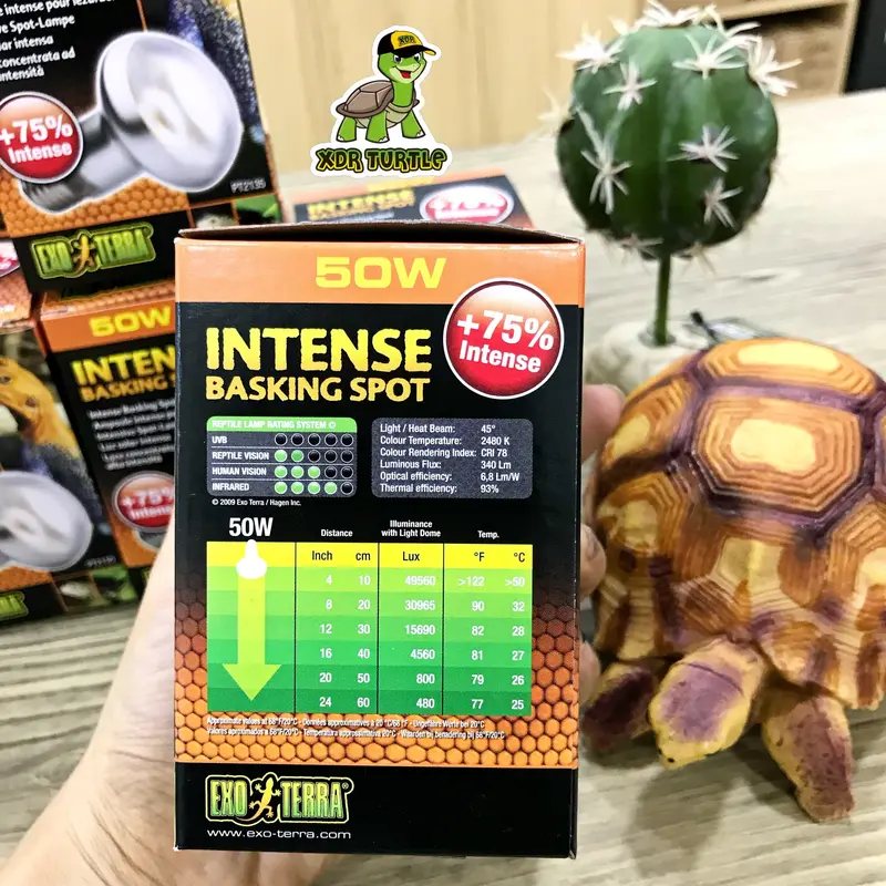 EXOTERRA INTENSE BASKING SPOT 50WATT TORTO REPTIL SULCATA IGUANNA 4